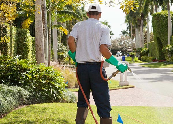 About Exmore VA Pest Control